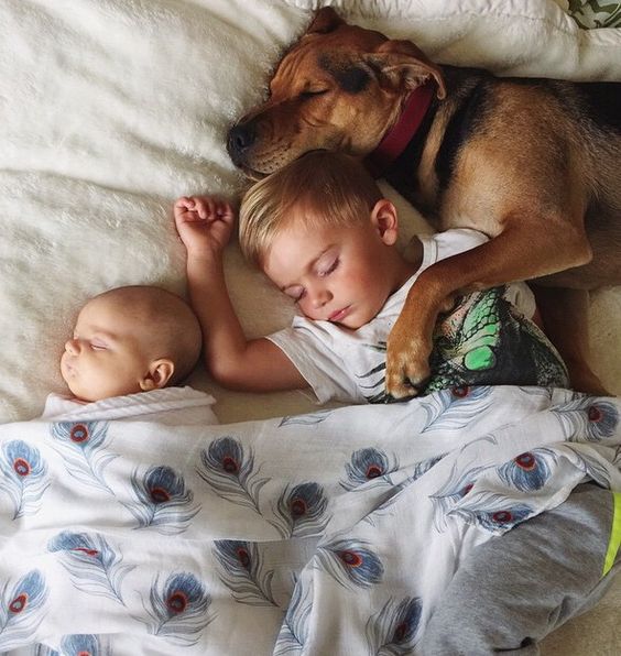 bambini_e_cane_letto.jpg